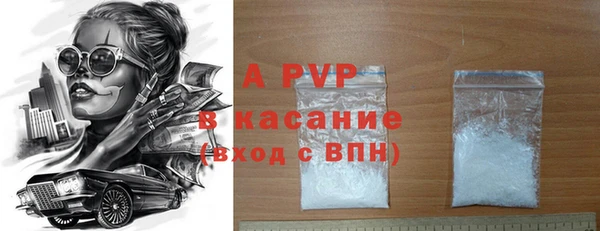 гашик Майский