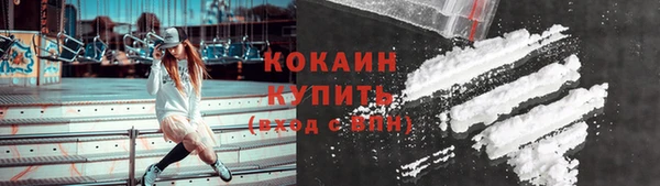 гашик Майский