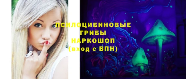 гашик Майский