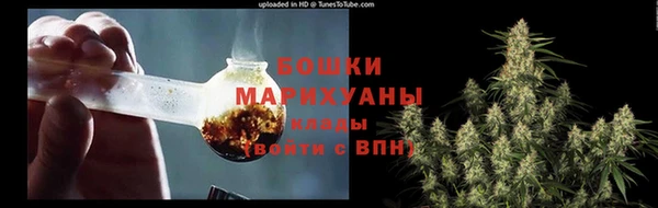 гашик Майский