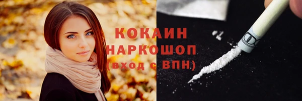 гашик Майский