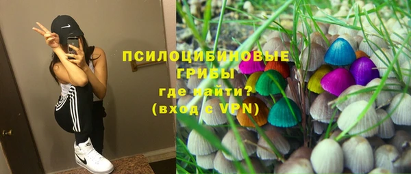 гашик Майский